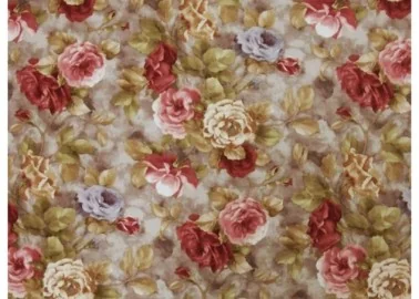 Coral WM 25