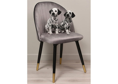 Pilkos spalvos elegantiško dizaino veliūrinė valgomojo kėdė su paauksuotomis kojelėmis. Kėdė atlaiko didelį svorį, yra tvirta, kokybiška, patogi ir apsiūta draugišku gyvūnams audiniu.